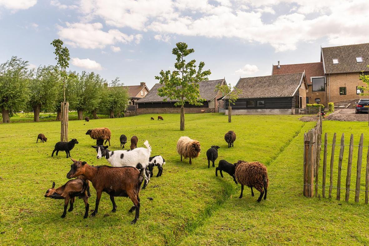 Vakantiehuisje In De Polder Oud-Alblas 外观 照片