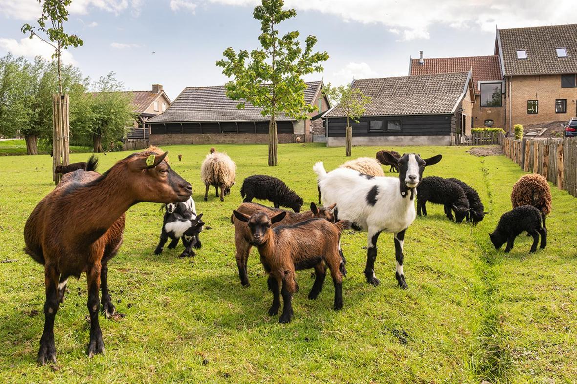 Vakantiehuisje In De Polder Oud-Alblas 外观 照片